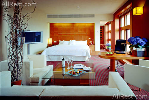 Sheraton Bilbao Hotel 7
